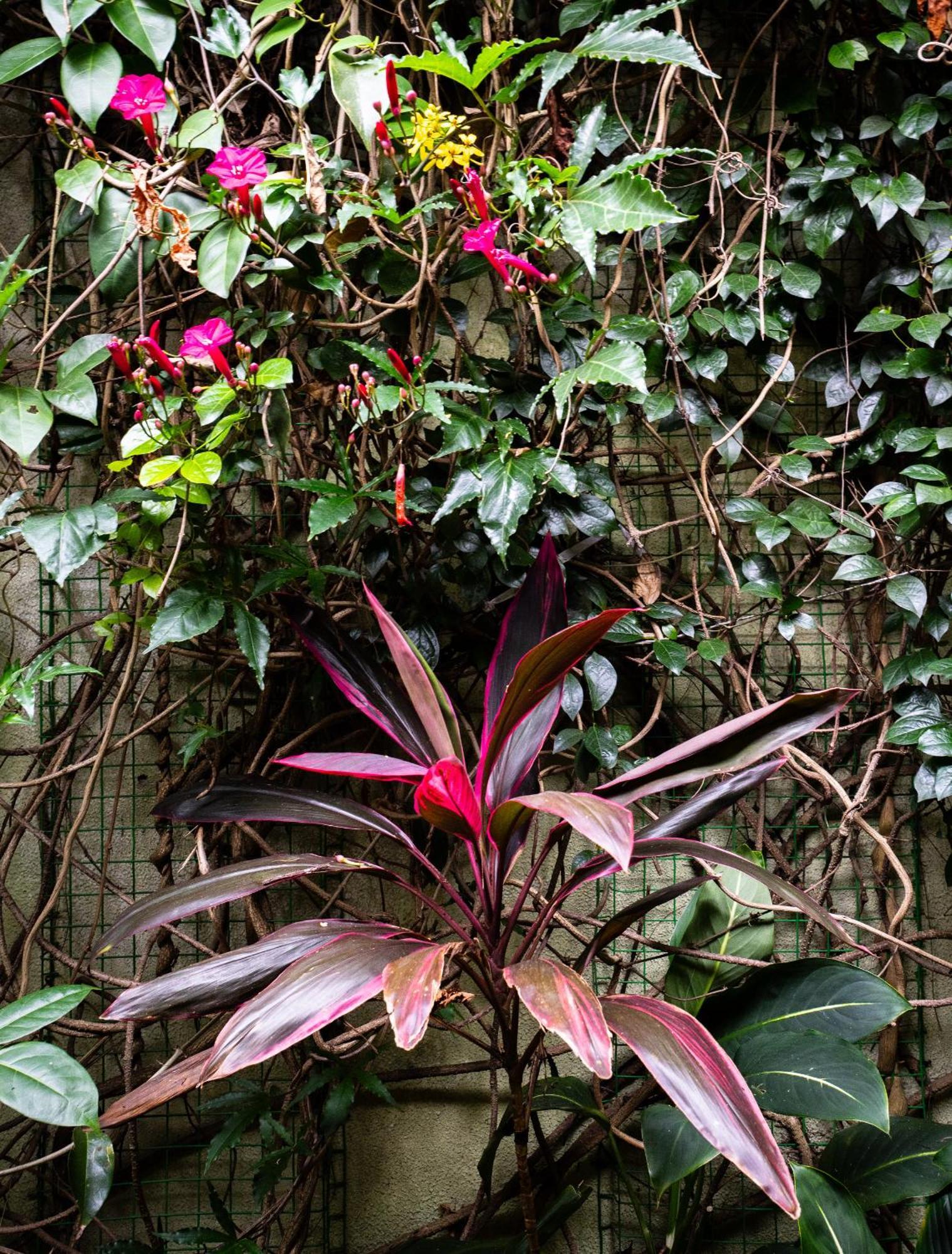 Kandy Inn Madugalle'S Family Guest House Esterno foto